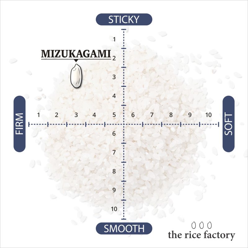 Mizukagami 9c5f7c47 a941 4710 855e 5a471f6593d5